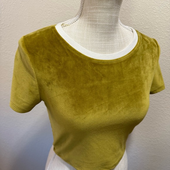Urban Outfitters Olive Green Velvet Crop Top with White Trim - Size S/P - Picture 2 of 15